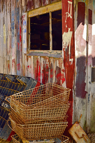 Cap Ferret #27